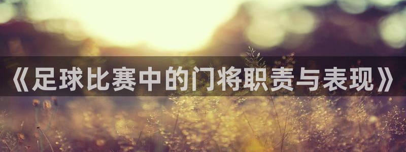  《足球比赛中的门将职责与表现》