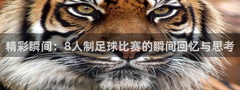 精彩瞬间：8人制足球比赛的瞬间回忆与思考