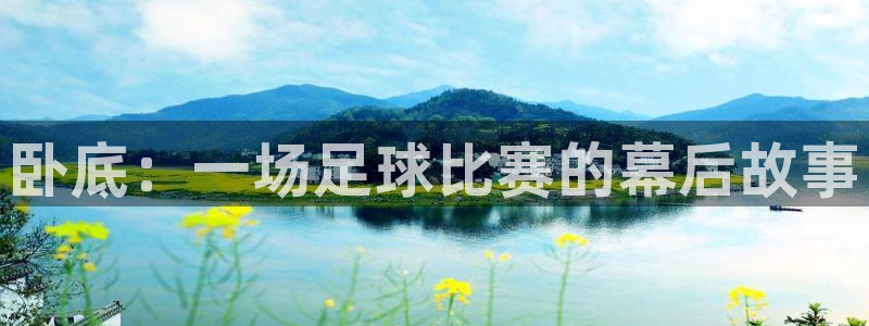 卧底：一场足球比赛的幕后故事