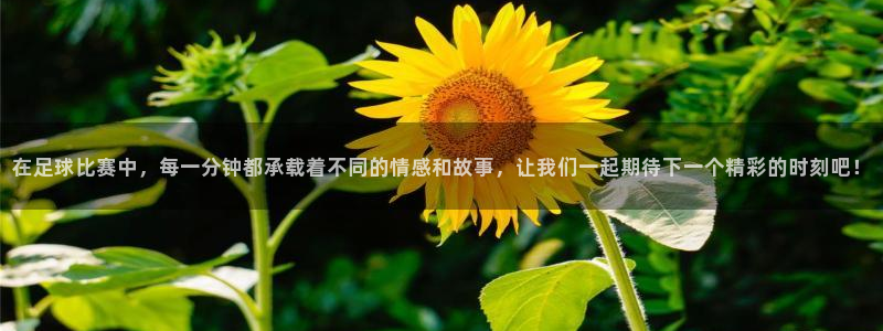 在足球比赛中，每一分钟都承载着不同的