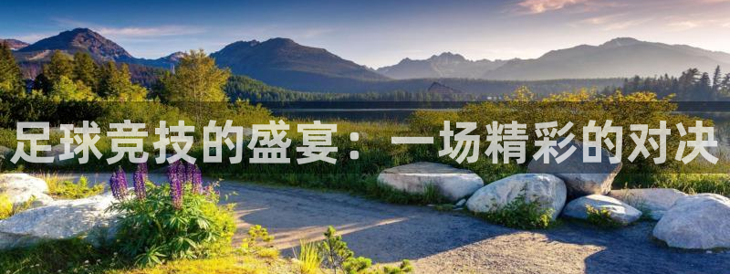足球竞技的盛宴：一场精彩的对决