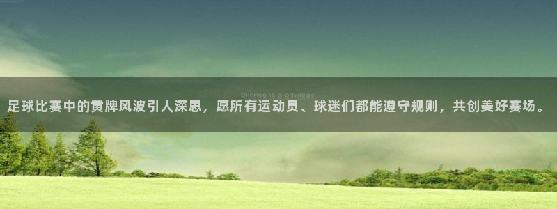 足球比赛中的黄牌风波引人深思，愿所有